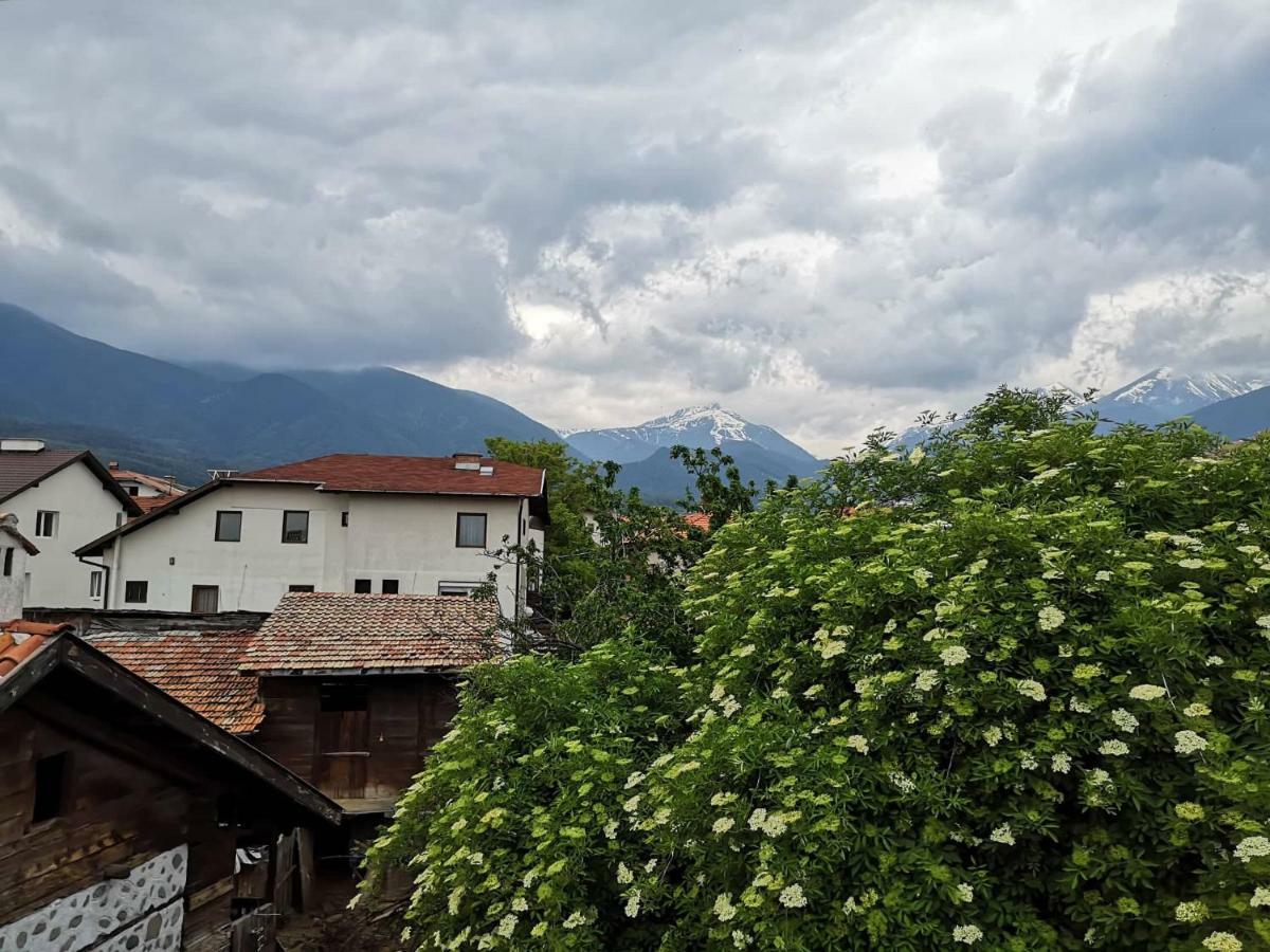 Todeva House Hotel And Tavern Bansko Dış mekan fotoğraf