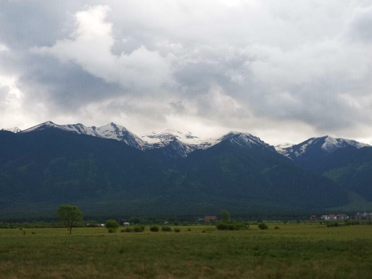 Todeva House Hotel And Tavern Bansko Dış mekan fotoğraf